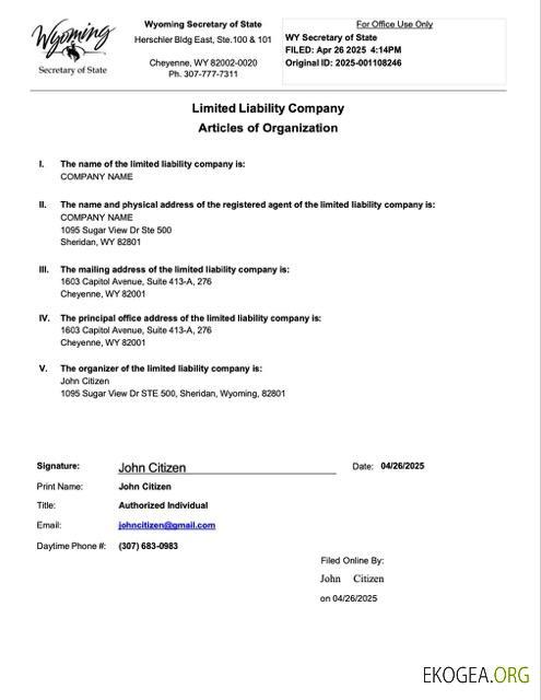 États Unis Wyoming Articles de l'organisation Modèle Word et PDF